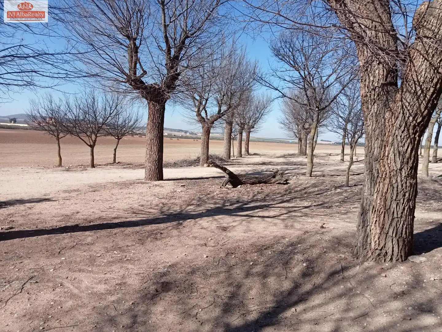 Terreni e lotti in vendita a Chinchilla de Monte-Aragón, imagen 32