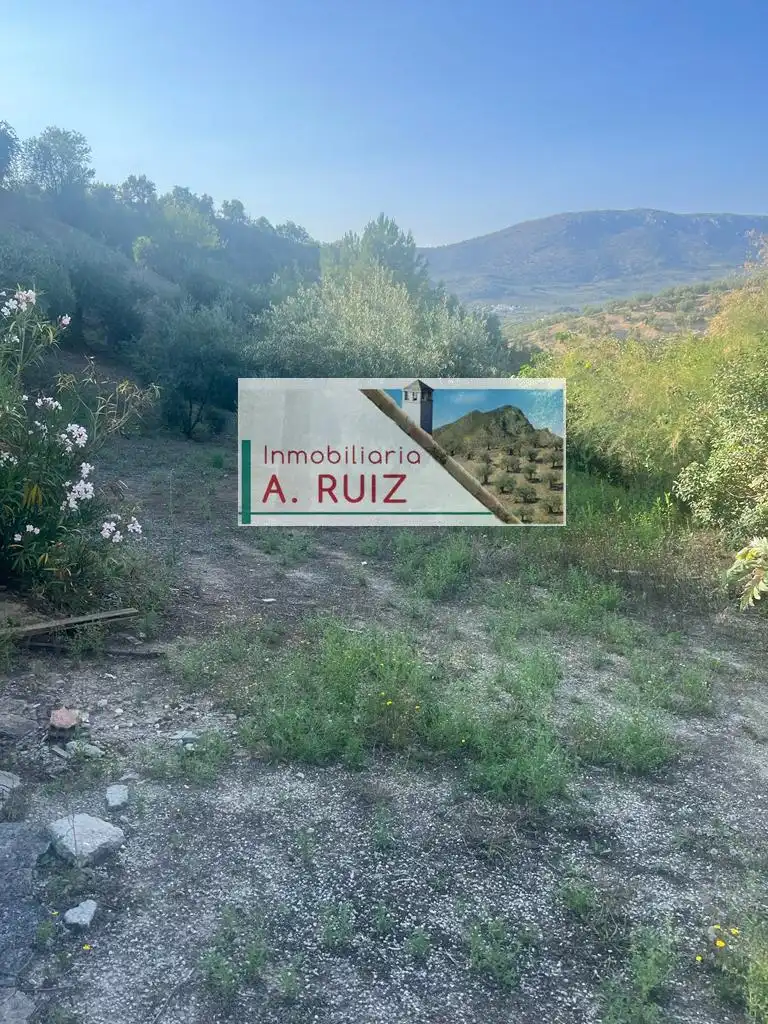 Terreny rústic en venda a Priego de Córdoba, imagen 3
