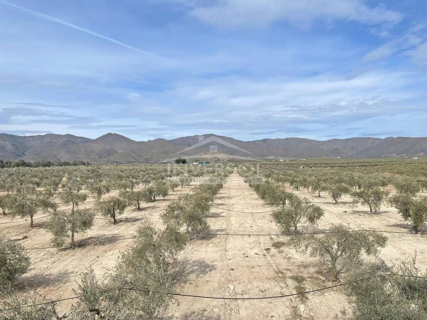 Terreno en venta en Uleila del Campo