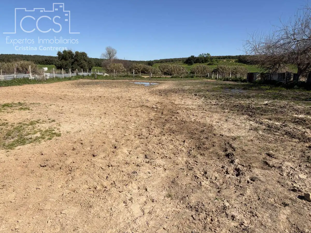Finca rústica en venda en Pilas