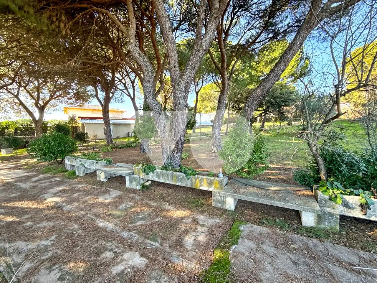 Jardín de Casa o chalet en venta en Ribatejada con Jardín privado, Terraza y Piscina