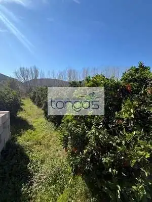 Casa o xalet en venda a El Genovés