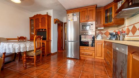 Amplio adosado con 4 dormitorios, gran sótano, patio con barbacoa y paneles solares, imatge 5
