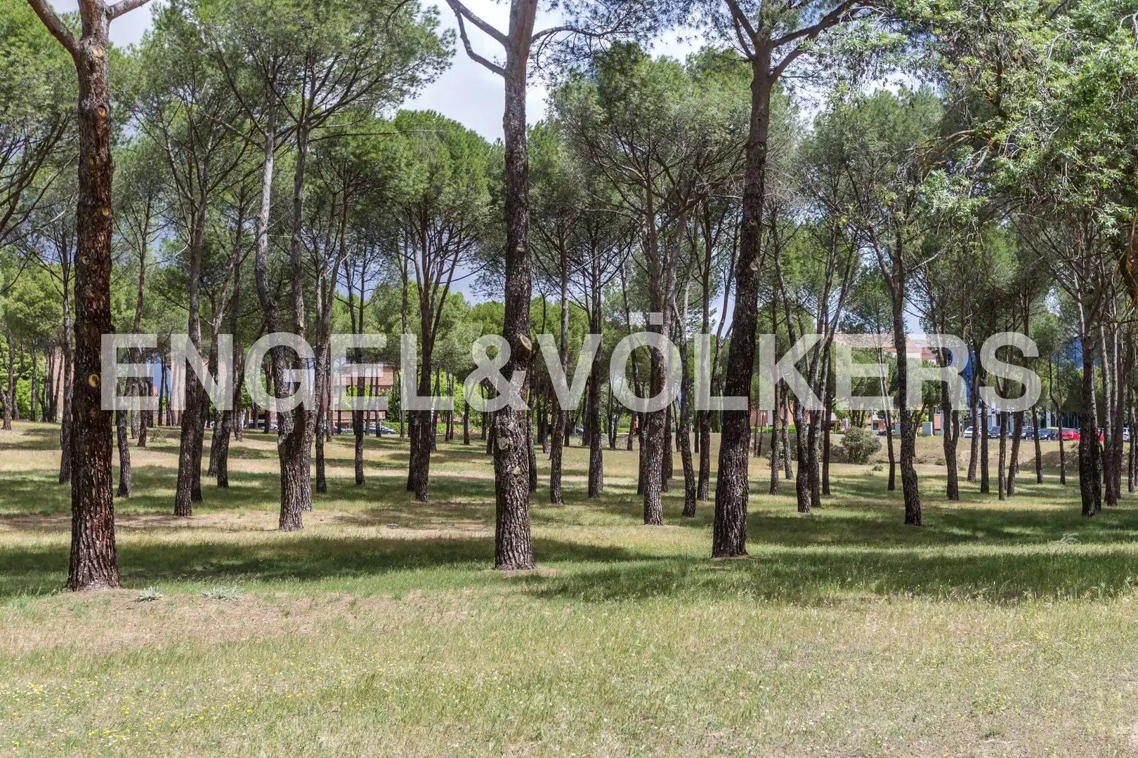 Casa o xalet de lloguer en Majadahonda amb Aire condicionat, Calefacció i Jardí privat