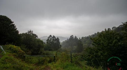 Photo 4 of House or chalet for sale in Cabranes - Lugar el Llano Naveda, Cabranes, Asturias