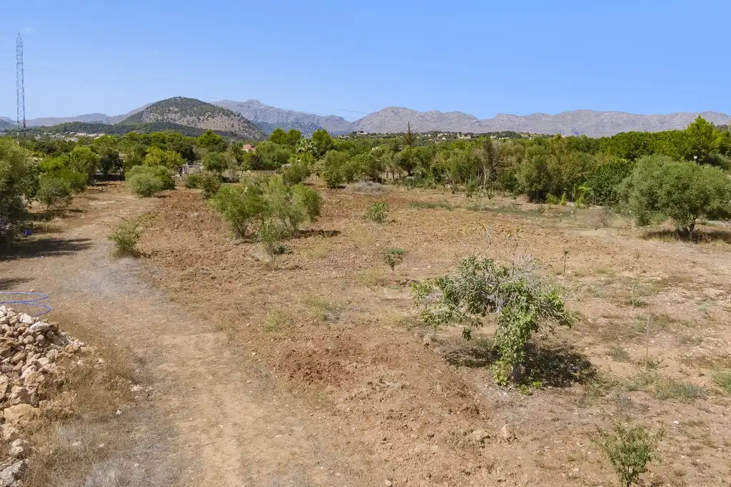 Rustikales Grundstück zum Verkauf in Pollença Poble, imagen 3