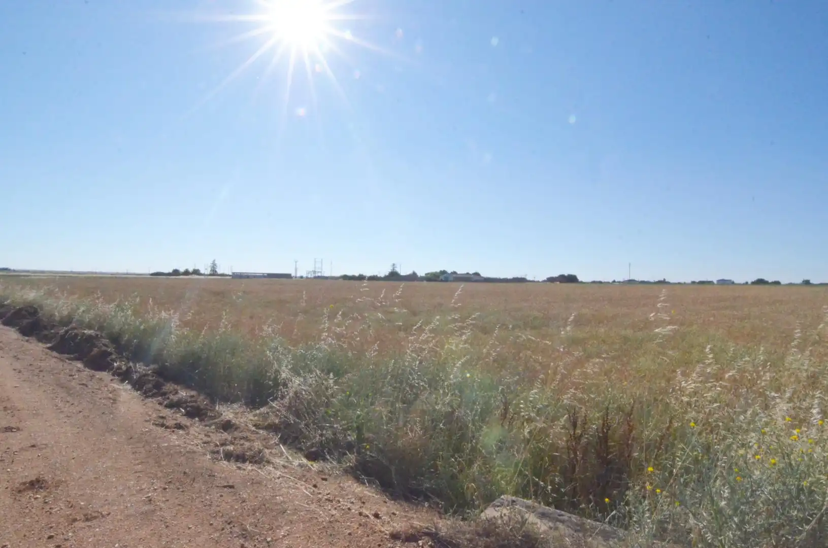 Rural land for sale in Calzada de Valdunciel, imagen 4