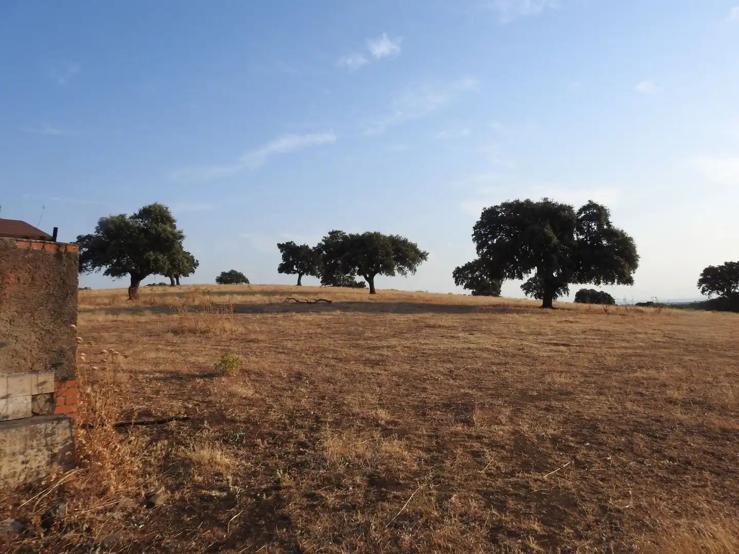 Land for sale in Villar del Pedroso