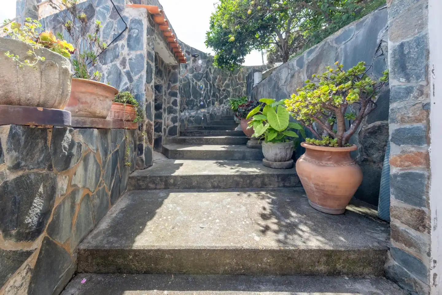 Casa o xalet en venda en Arucas