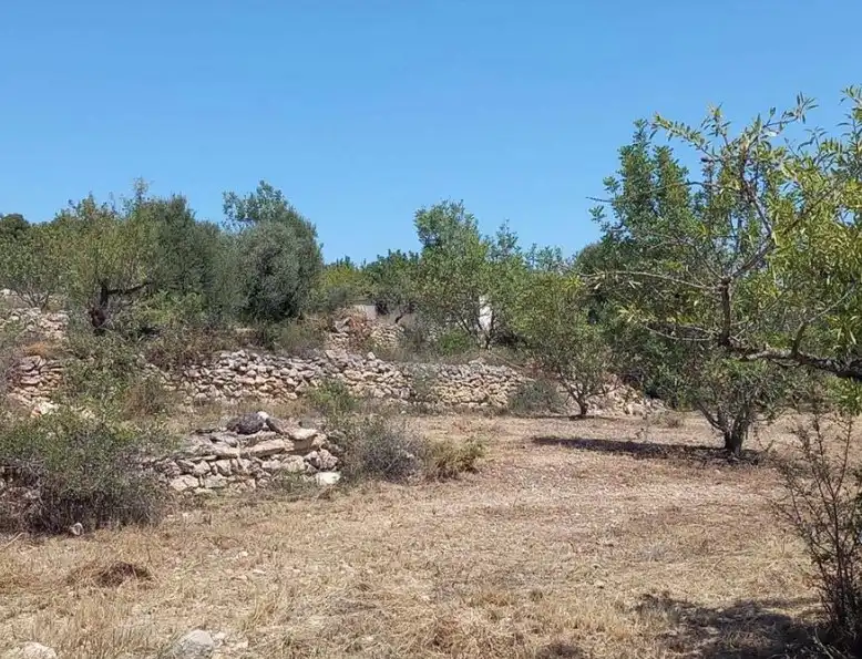 Terreno rustico in vendita a Partida Mas de Tarra, imagen 6