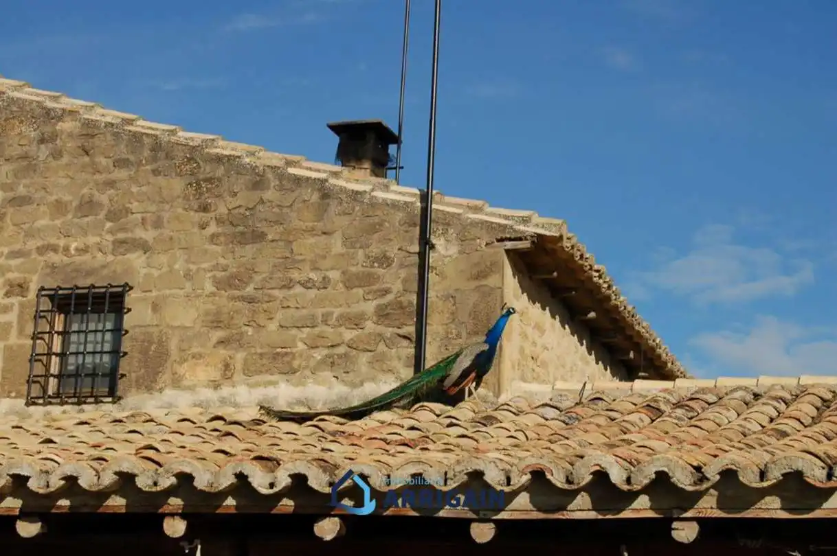 Vista exterior de Casa o chalet en venta en La Moraleja con Jardín privado