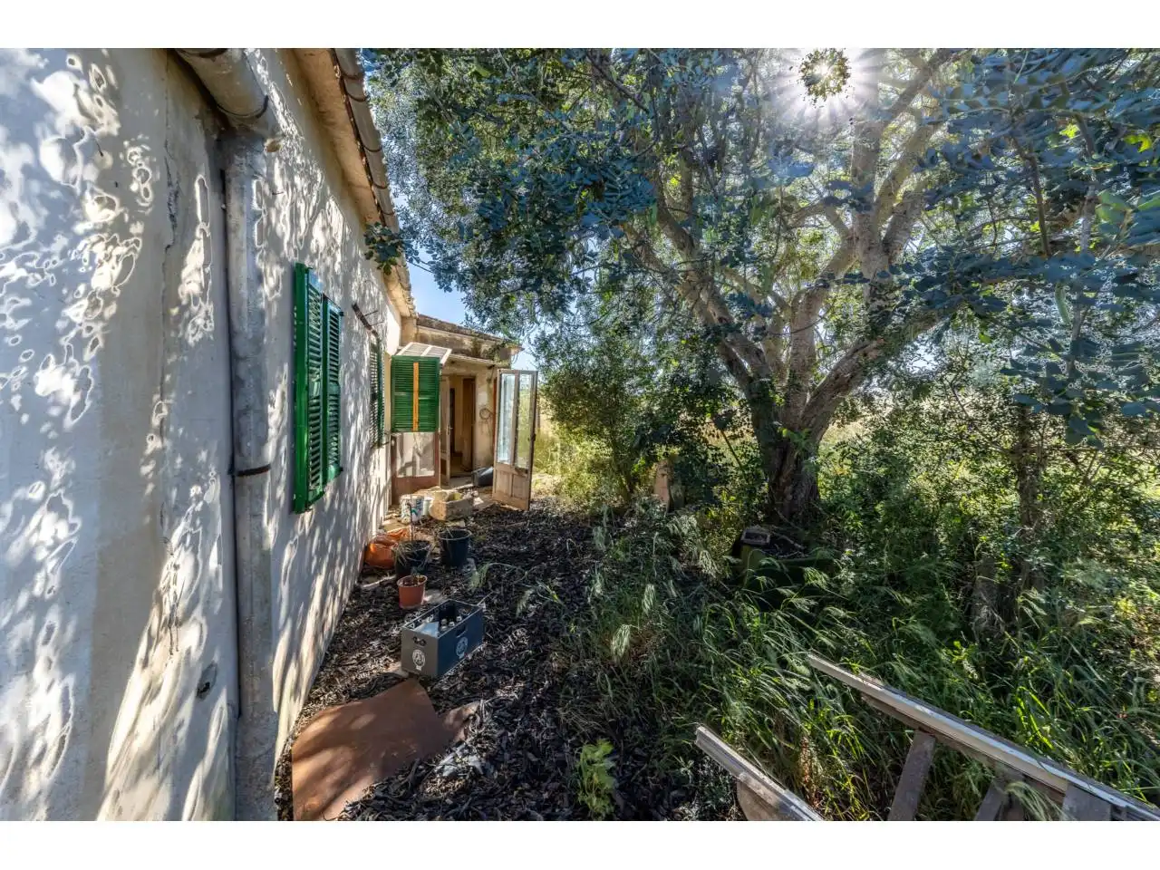 Terreno rustico in vendita a Llucmajor pueblo, imagen 44