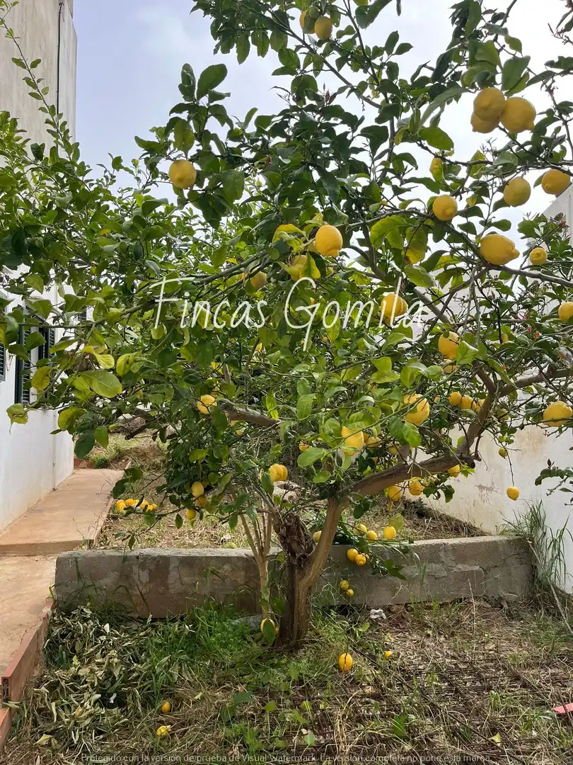 Garden of Apartments for sale in Alaior  with Air Conditioner, Heating and Private garden