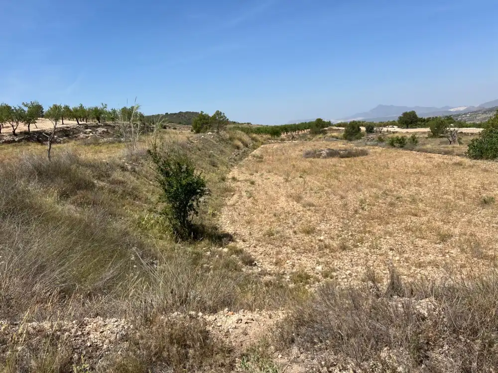 Terreny residencial en venda a La Murada - Los Vicentes, imagen 23
