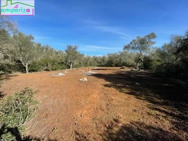 Rural land for sale in Felanitx Poble, imagen 7