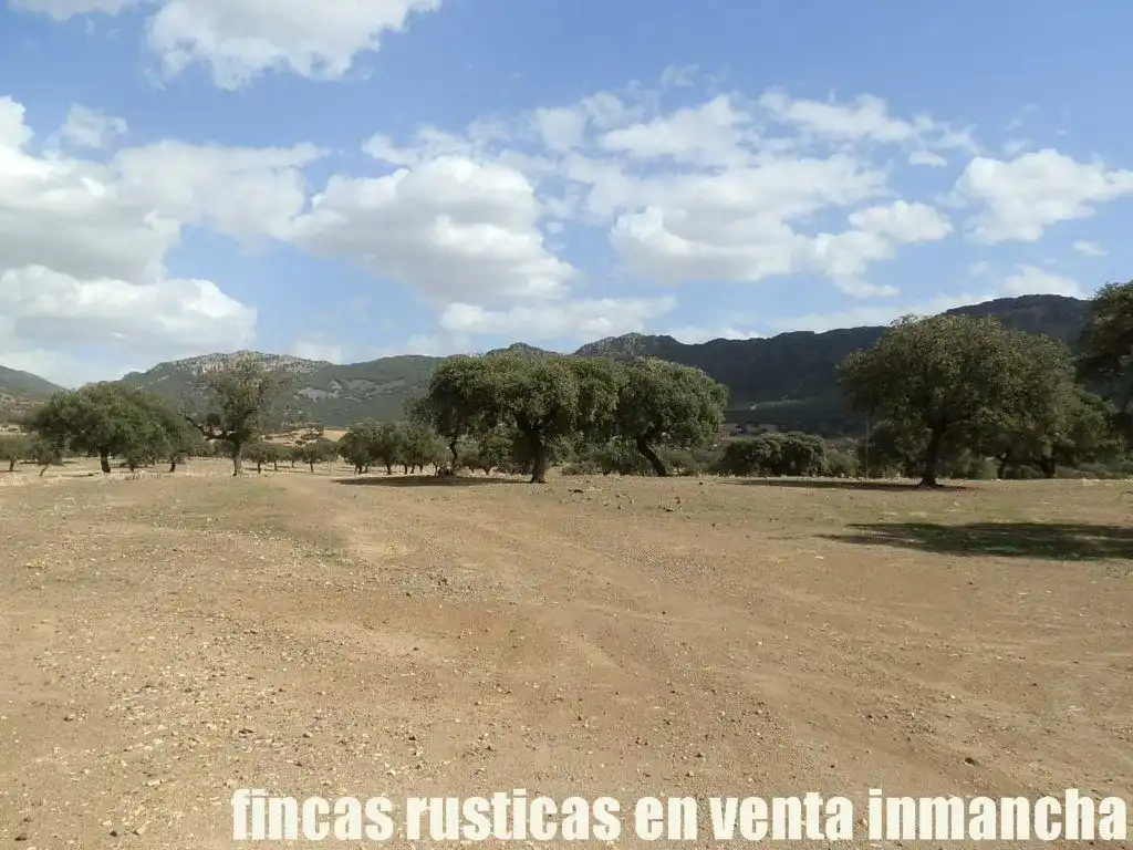 Terreni e lotti in vendita a Peñalsordo, imagen 20