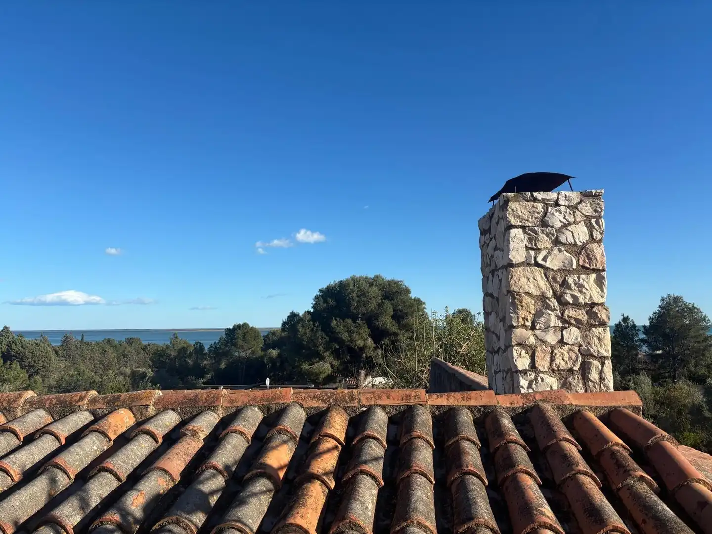 Vista exterior de Casa o xalet en venda en Alcanar amb Jardí privat, Traster i Piscina