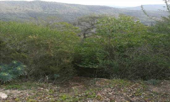 Terreno residencial en Venta en Vall-repos, 211 en Urbanitzacions del Nord