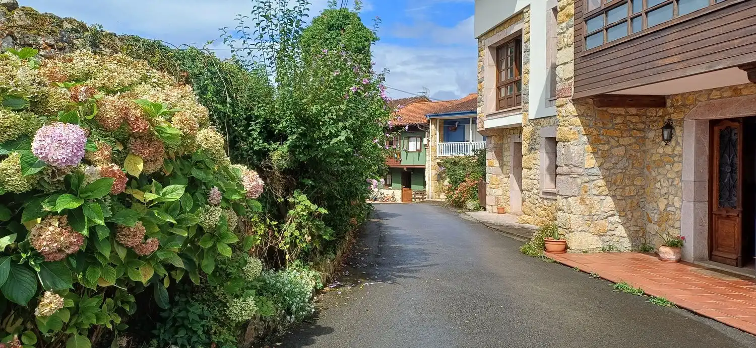 Exterior view of Houses for sale in Nava  with Swimming Pool