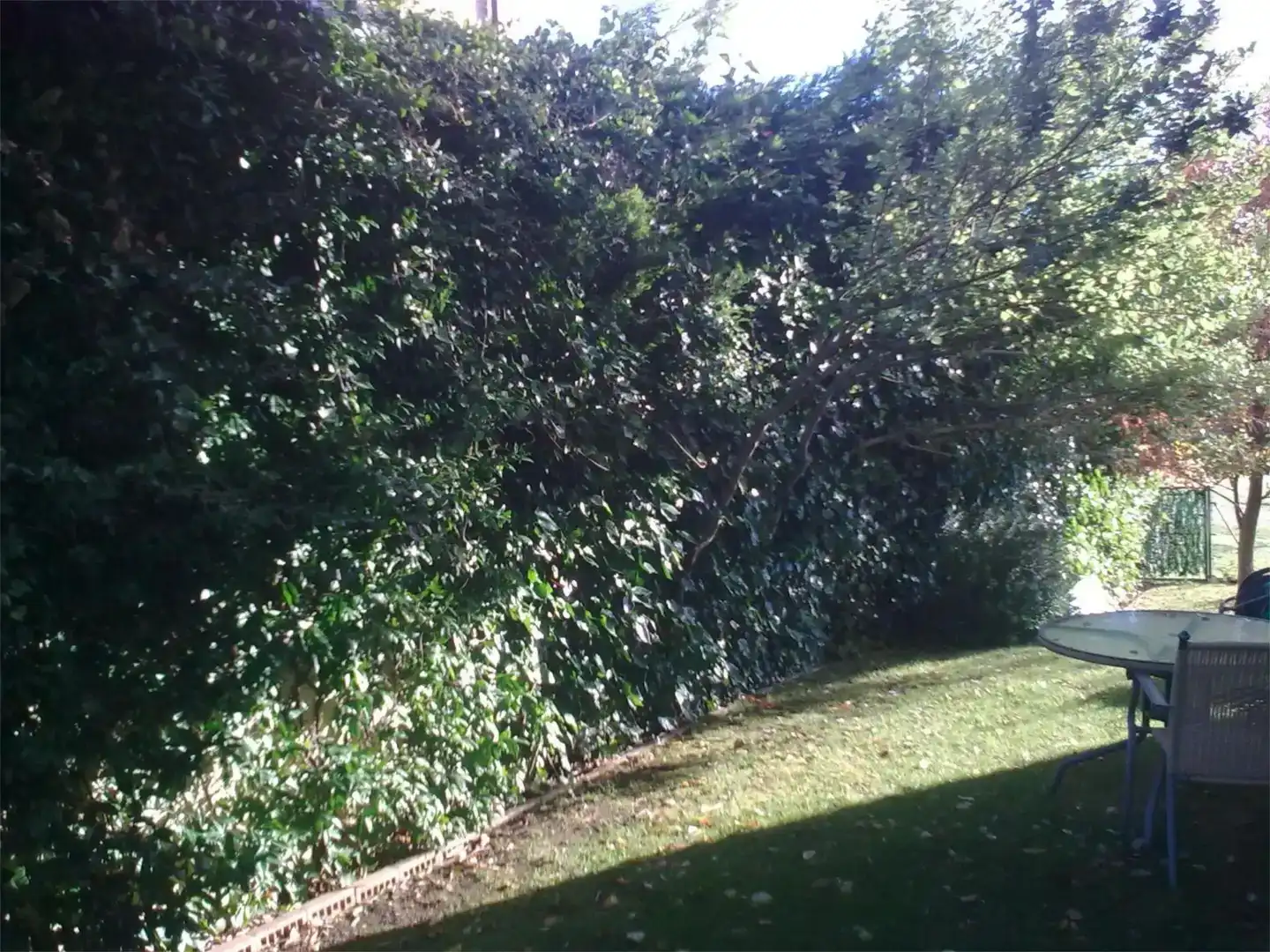 Jardí de Pis en venda en Valle de Egüés / Eguesibar amb Jardí privat, Parquet i Traster