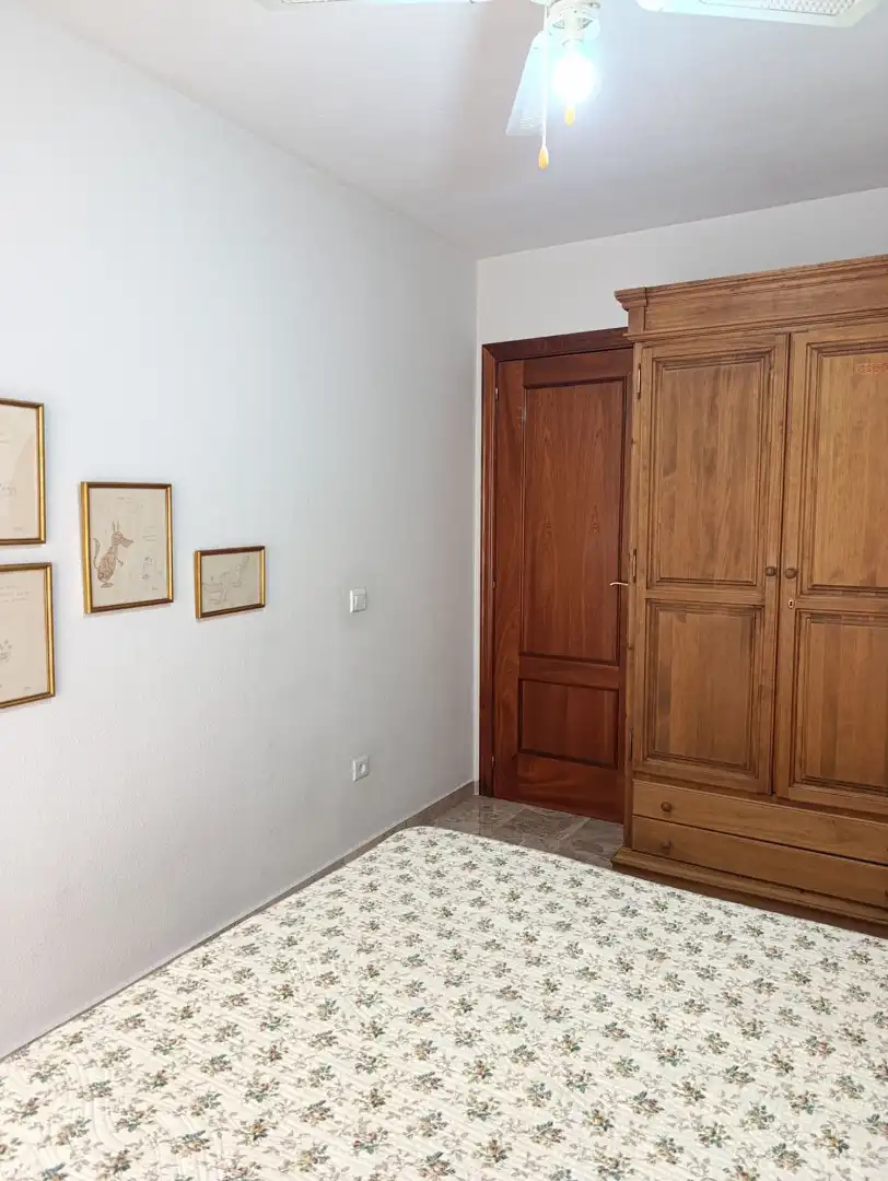 Flat for sale in Calle Elisa Cendrero, El Perchel