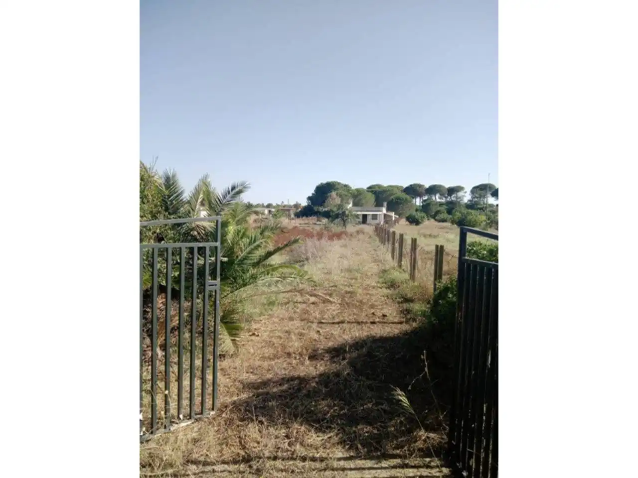 Residencial en venta en Bonares