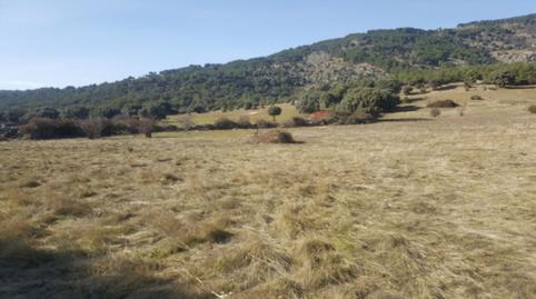 Foto 3 de Terreno en venta en Colegios, Moralzarzal