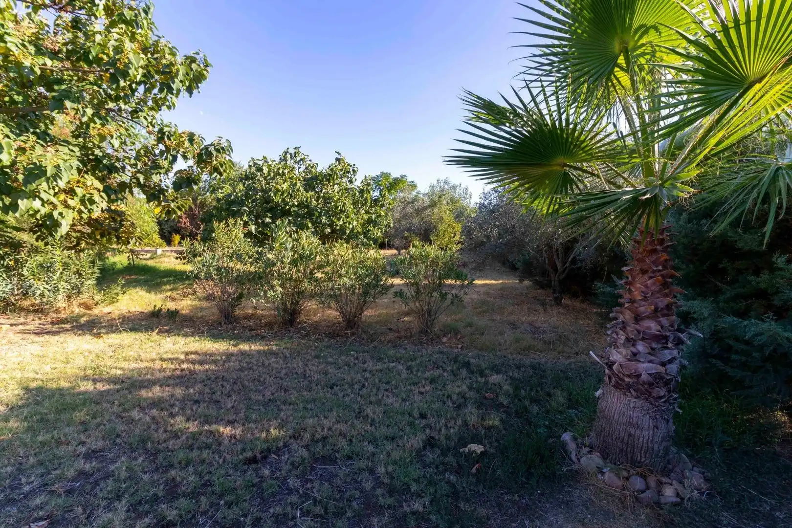 Maison rustique avec piscine à vendre à Dehesilla de Calamón - Campomanes, imagen 10
