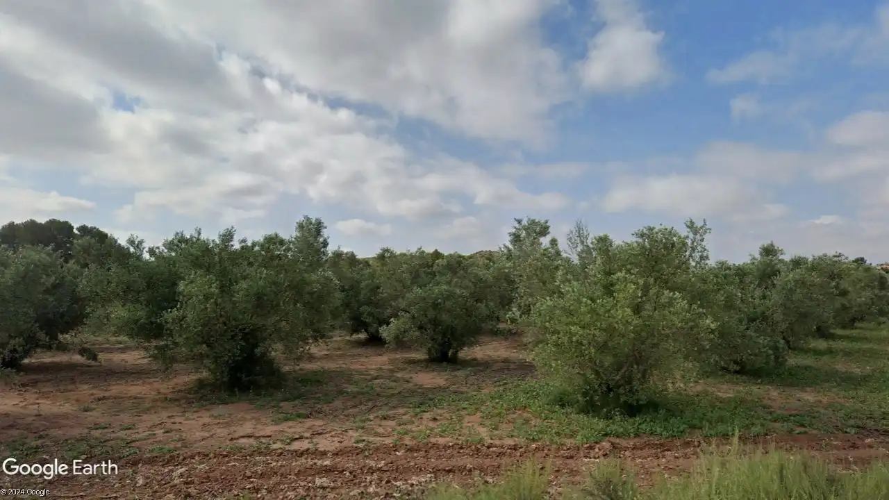 Rural land for sale in Partida los Cabezos 61, imagen 3