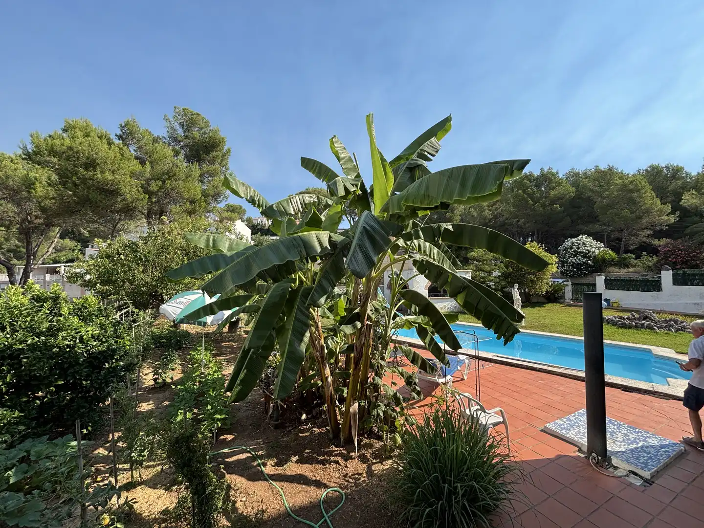 Casa amb piscina en venda a La Font d'en Carròs, imagen 9