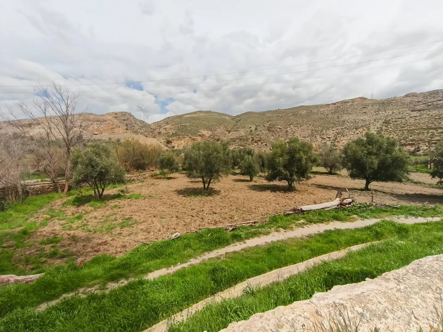 Finca rústica en venda en Abla