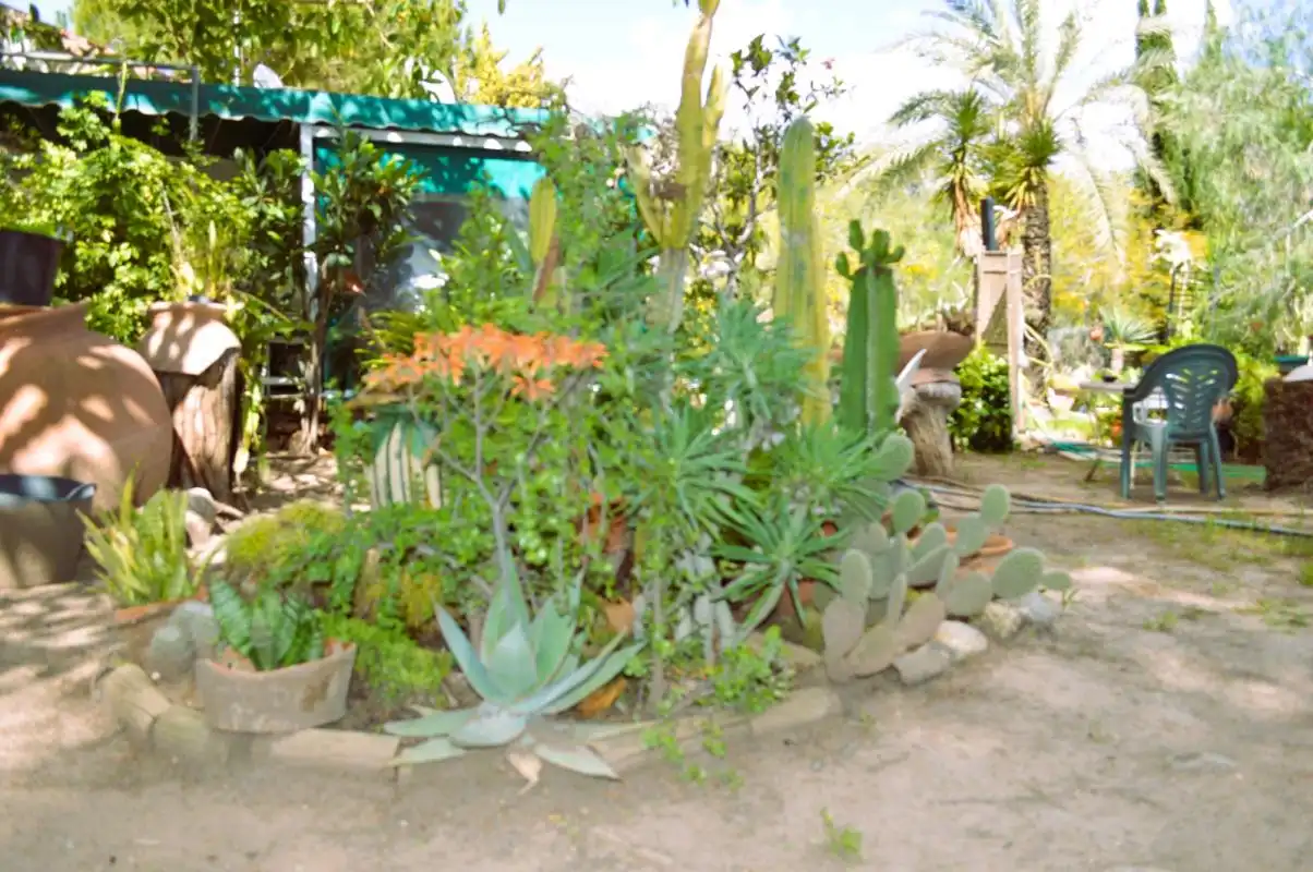 Garden of Houses for sale in Orihuela  with Air Conditioner, Heating and Private garden