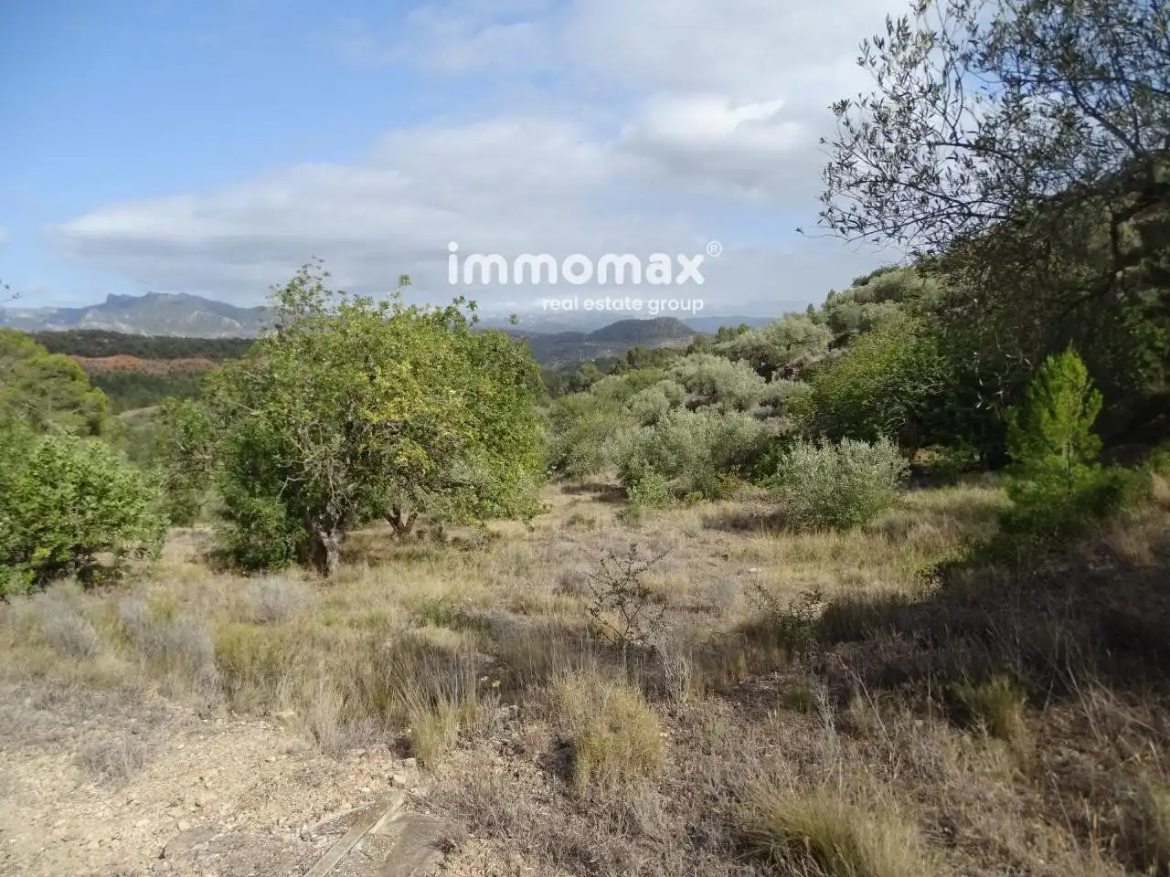Villa à vendre à Paüls, imagen 4