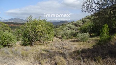 Foto 4 de Casa o chalet en venta en Carrer de Les Escoles, Paüls, Tarragona