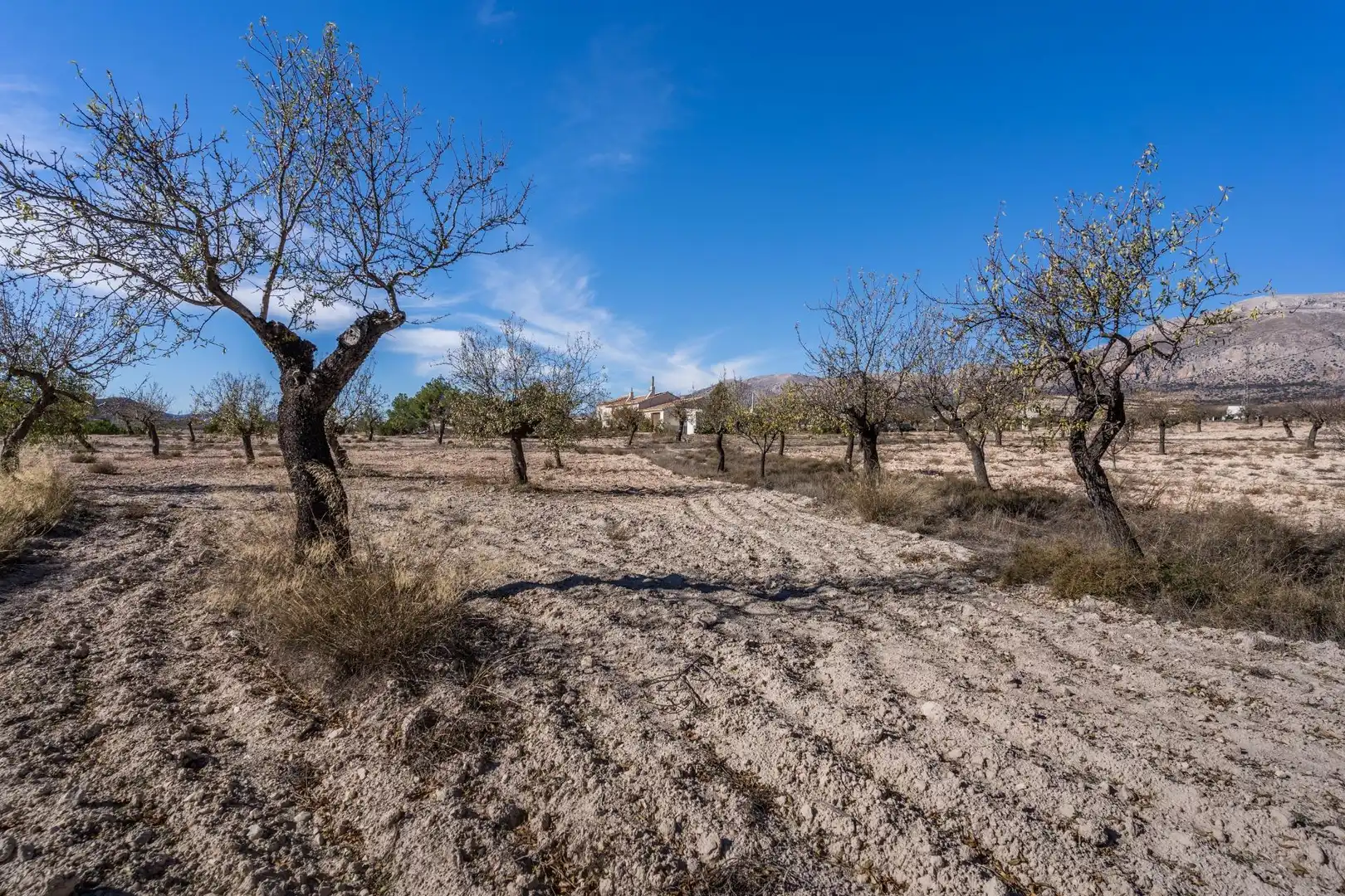 Finca rústica en venta en Vélez-Rubio con Calefacción, Jardín privado y Trastero