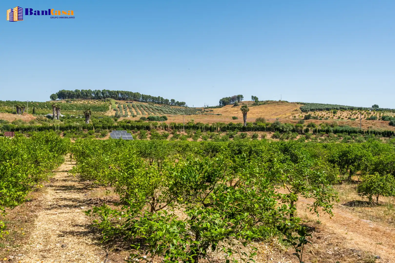 Terreno en venta en Pizarra