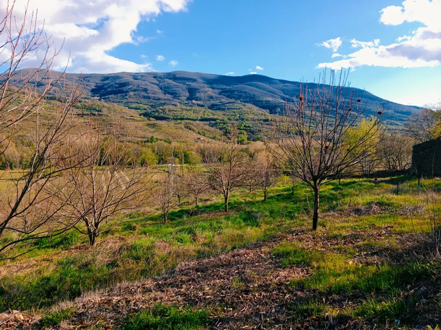 Terreno en venta en El Torno 