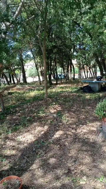 Residential land for sale in Carrer Tulipa, imagen 2