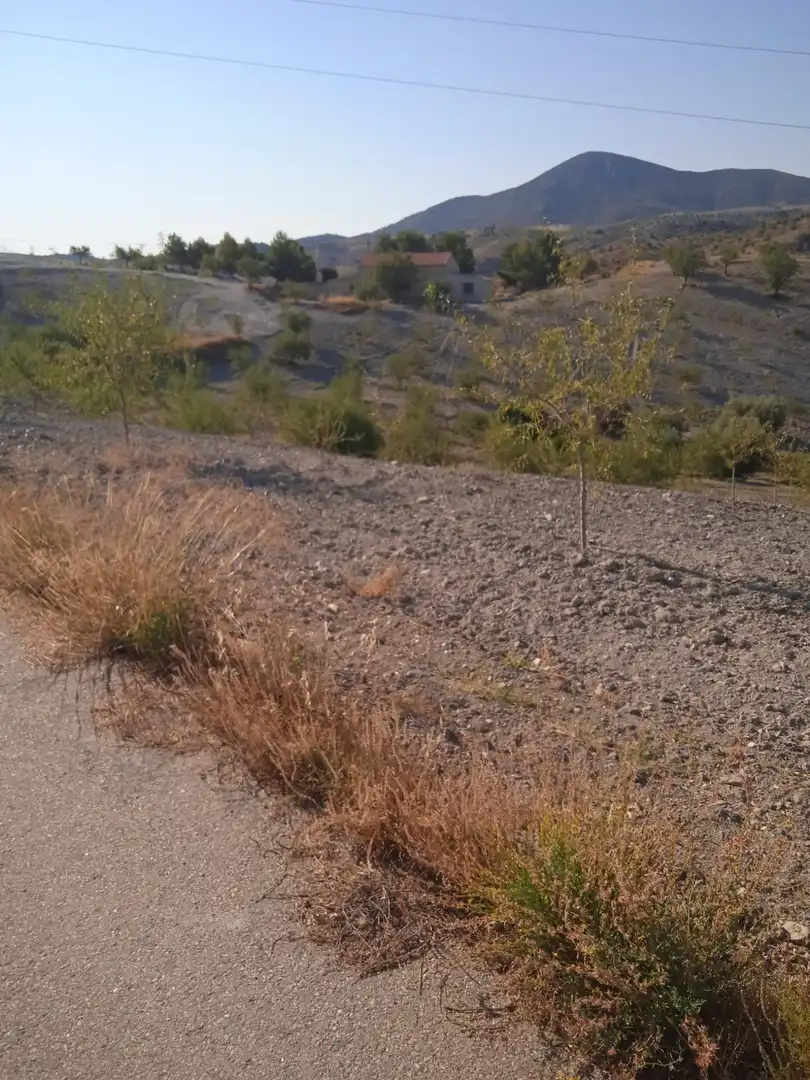 Casa o xalet en venda en Puerto Lumbreras amb Terrassa i Moblat