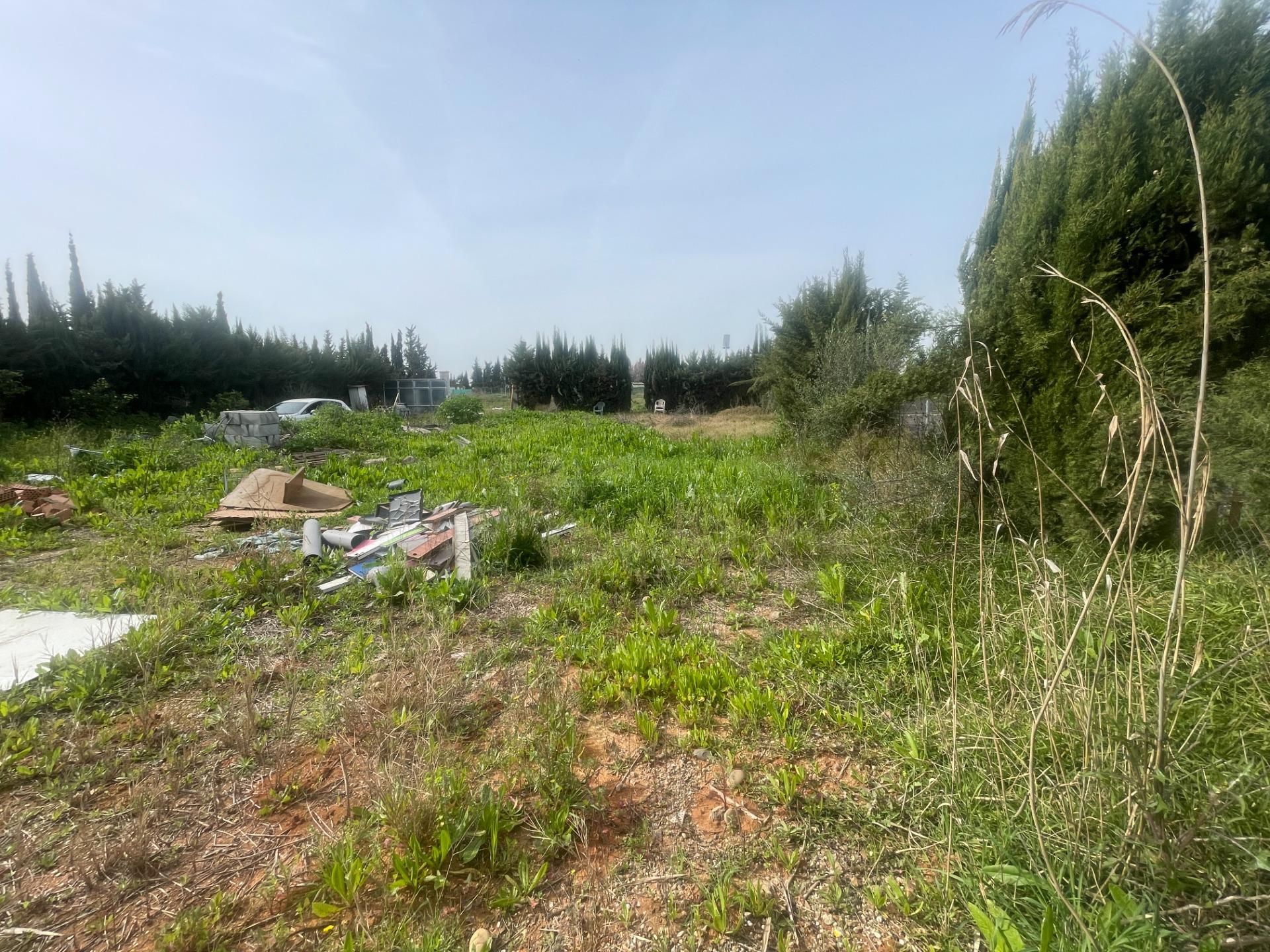 Land for sale in Los Palacios y Villafranca