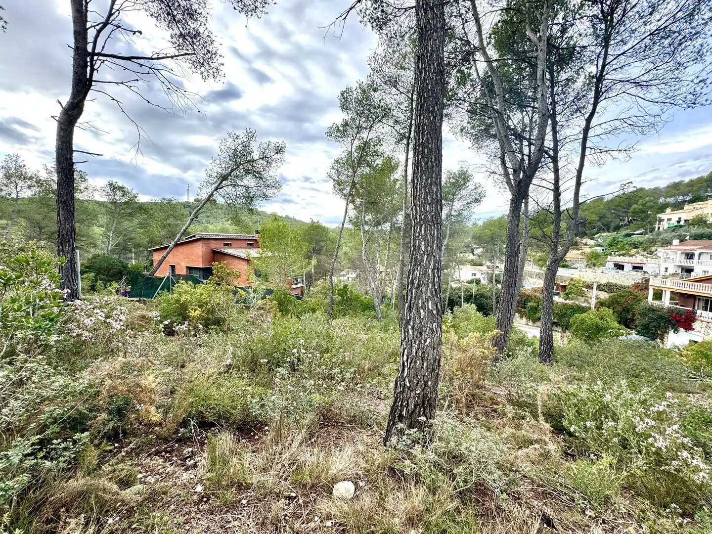 Grundstücke und Bauplätze zum Verkauf in Olivella, imagen 4