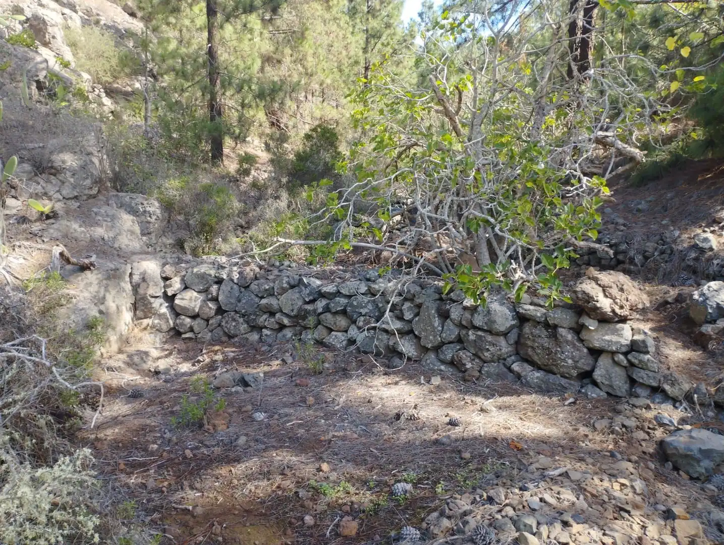 Residencial en venda en Vilaflor de Chasna