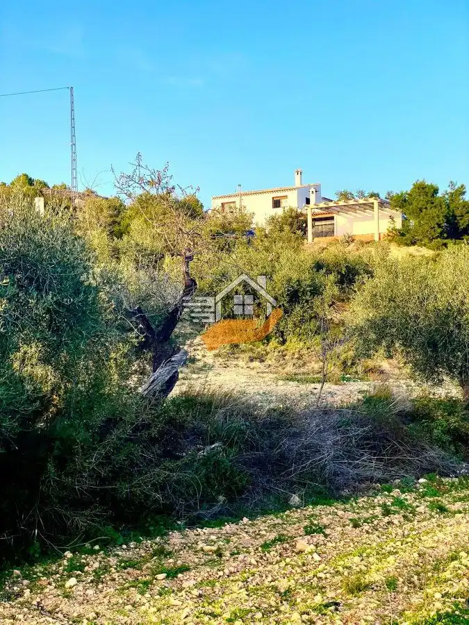 Lands and plots for sale in Vélez-Rubio, imagen 16
