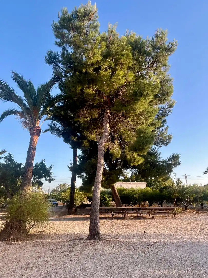 Villa à vendre à Jubalcoi, imagen 5
