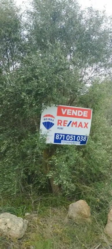 Rural land for sale in Felanitx Poble, imagen 12