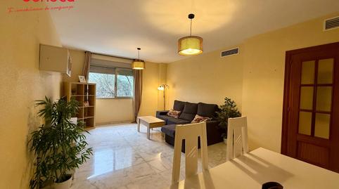 Foto 2 de Pis en venda a Pintor Aguilera Amate, Santa Rosa - Valdeolleros,  Córdoba Capital