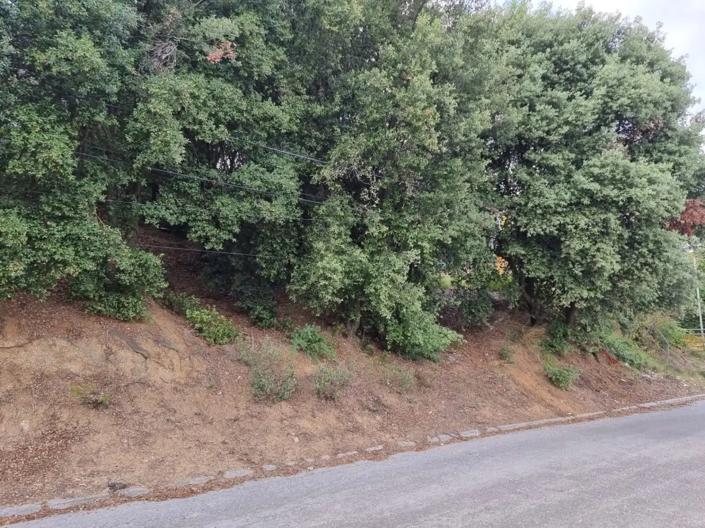 Lands and plots for sale in Calle MARGALLO, imagen 11