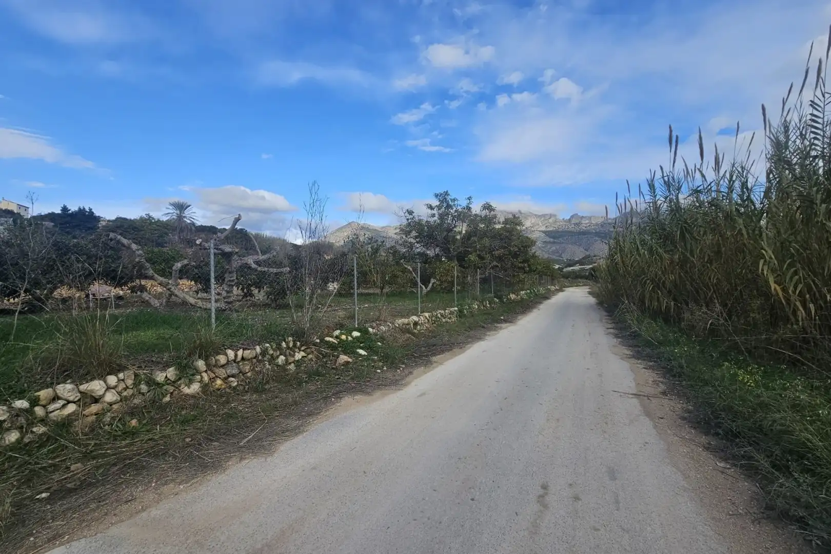 Casa en venda a Callosa d'en Sarrià, imagen 20