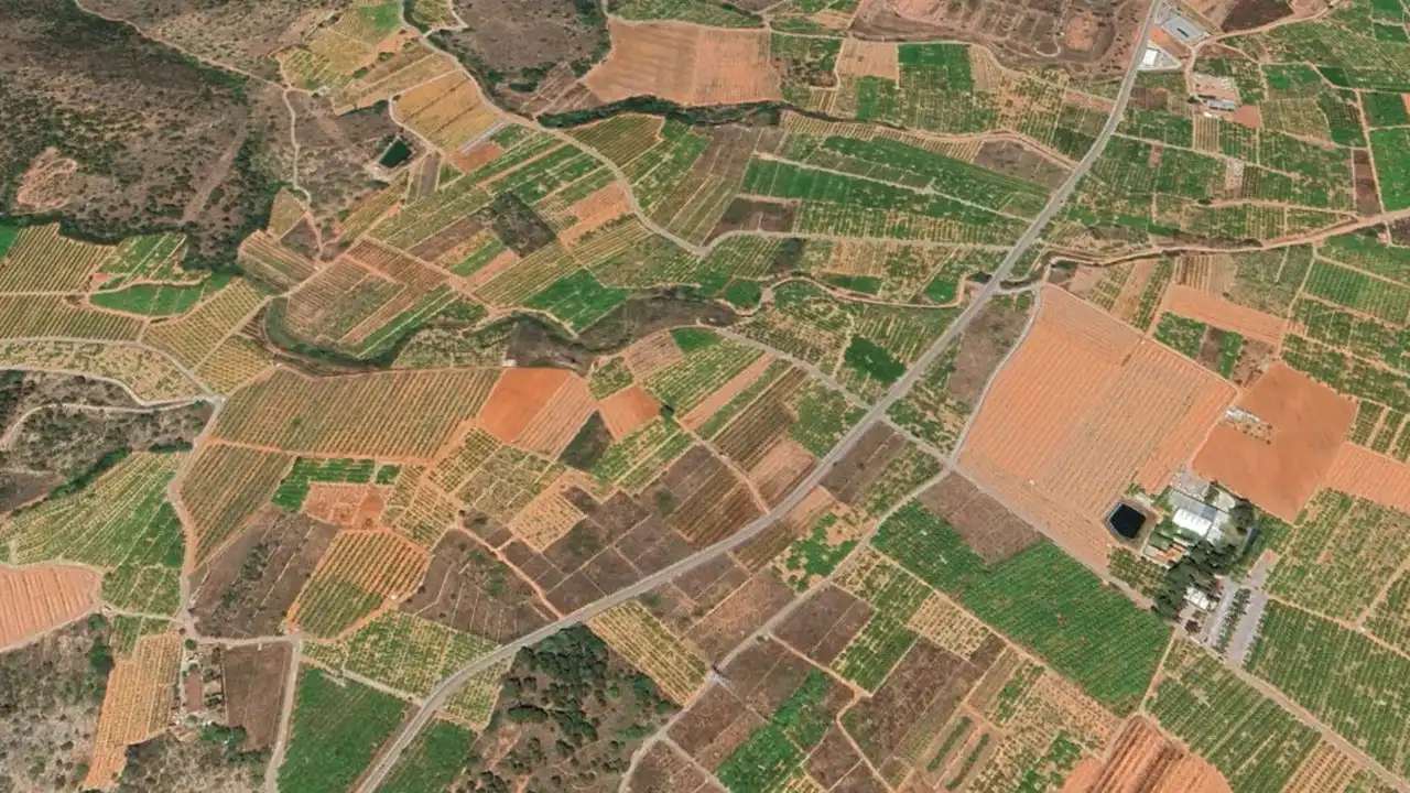 Rustikales Grundstück zum Verkauf in Partida de La Murta, imagen 3