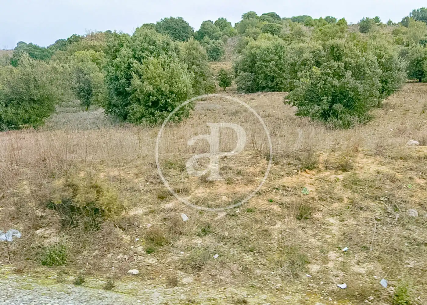 Terreny residencial en venda a Guadalix de la Sierra, imagen 12